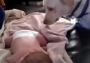 Dog covers baby with blanket..