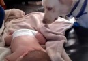 Dog covers sleeping baby with blanket