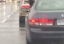Dog Eats Rain Out Of Car Window