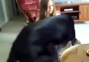 DOG GIRL bellows fucking badly