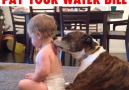 Dog Gives Baby a Bath