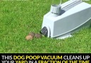Dog Poop Vacuum
