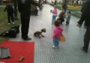 Dog puppeteer in Buenos Aires, Argentina!