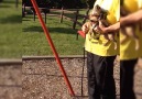 Dog Pushes Little Girl On Swings