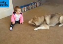 Dogs and Babies!