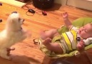 Dogs and Babies combo pack