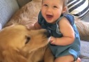 Dogs and kids growing up together this is what the world needs right now