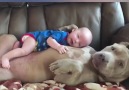 Dogs are the best babysitters!