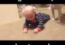 Dog Shows Baby How To Crawl