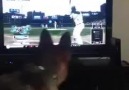 Dog tries to catch the baseball through the TV!!!!!