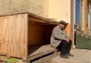 Doktor,Celil, Serdar