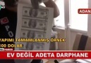 DOLARI DÜŞÜREN KAHRAMAN ADAMIN DİBİSİN....