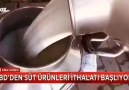 DOLARLARI YAKANLAR AMERİKAN SÜTÜNÜ ÜFLEYEREK İÇECEKLER )