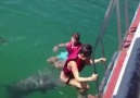 Dolphin Doesn't Want Its Girlfriend To Leave