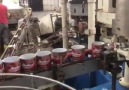 Domates salçası üretimi nasıl yapılır... - HisarK Salça - Konserve