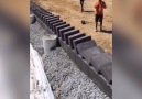 Domino Brick Laying Hack