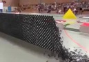 Domino Wall World Records