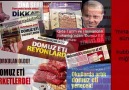 DOMUZ ve ZİNA