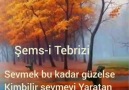 Döndüm Mevlana Gibi Şems-i Tebrizi & Mevlana