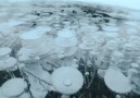 Donmuş hava baloncukları Şahane bir manzara Abraham Gölü Alberta Kanada.