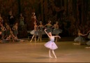 Don Quixote Mariinsky 2009 Relese (part5)