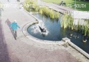 DONT TEXT AND WALK!!!
