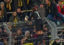 Dortmund's players apologise to their furious fans