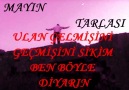 DÖRT YANIMDA MUHAFIZ//MAYIN TARLASI 2012 MTRECORDS