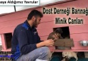 Dost Derneği - DİKKAT. Aşırı Sevimlilik İçerir Facebook