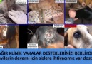 Dost Derneği - Tedavilere Desteklerinizi Bekliyoruz Dostlar Facebook