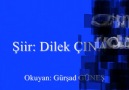 dost musun düşman mı - Dilek ÇINAR