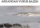 Dost sandıklarımız sırtımızdan vurur bazen