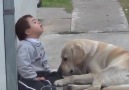 Down Sendromu hastası çocuğa sevgisini gösteren köpek!