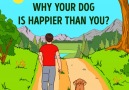 Do you know why your dog is happier than you?