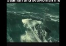 Do you wanna be seaman. Think again