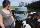 Dr. AMMAR - veterinarian - title Dairy Farming in Newzealand Facebook