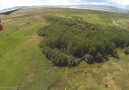 Drone avcısı dronelar