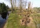 Drone Düşüren Maymunlar