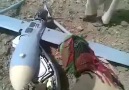 Dron in Waziristan