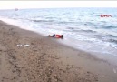 Drowned Migrant Toddler Photo Triggers European Outrage