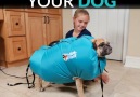 Dry and fluff your dog with this ingenious device