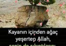 DUA İcin Toplandık Begen