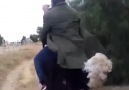 Dude Rides An Ostrich