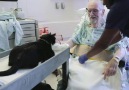 Duke the therapy cat visits UCSF!