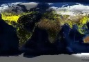 Dünyadaki Hava Yolu  Trafiğinin 24 Saatlik Görüntüsü