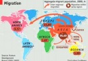 Dünya Genelinde Göç (Migration)