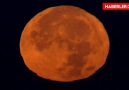 Dünya'nın 4 Bir Yanından Muhteşem 'Süper Ay' Manzaraları