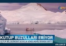 Dünyanın buzdolabının kapısını açık bıraktık (Büyük tehlike)