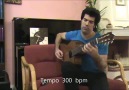 Dünya'nın En Hızlı Gitaristi - Vahid Iran Shahi (350 bpm)