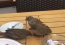 Dünyanın en Hoş Görüntülerinden Biri Değil mi )